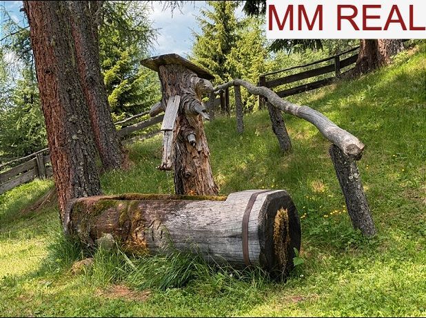 Alm 6